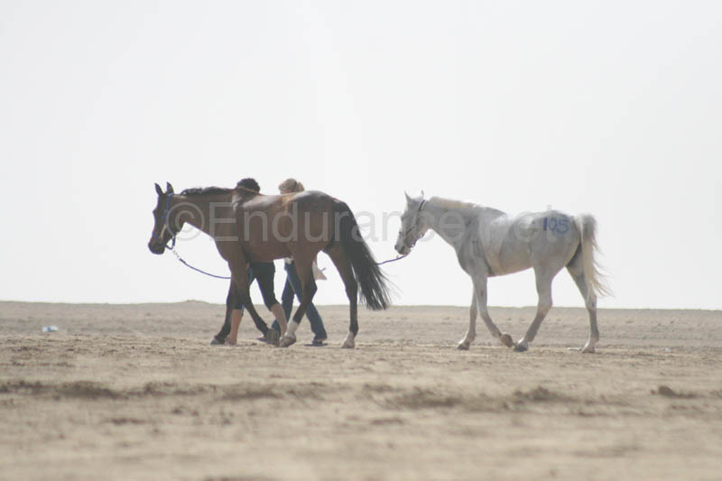 0902PCup_691D