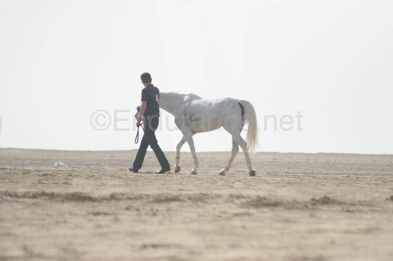 0902PCup_691E