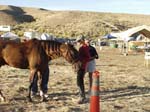international/USA/2004ArabianNights/gallery/BillBashum/thumbnails/P6040466.jpg