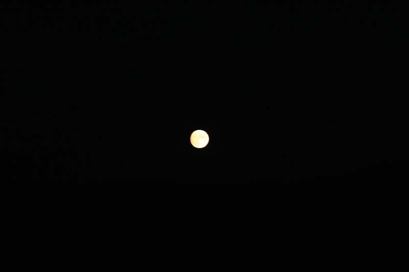 IMG_3868