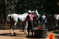 0909AERCNC_286P