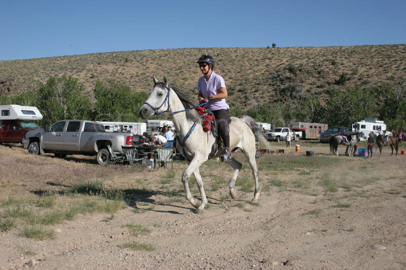 0906ABH_043D