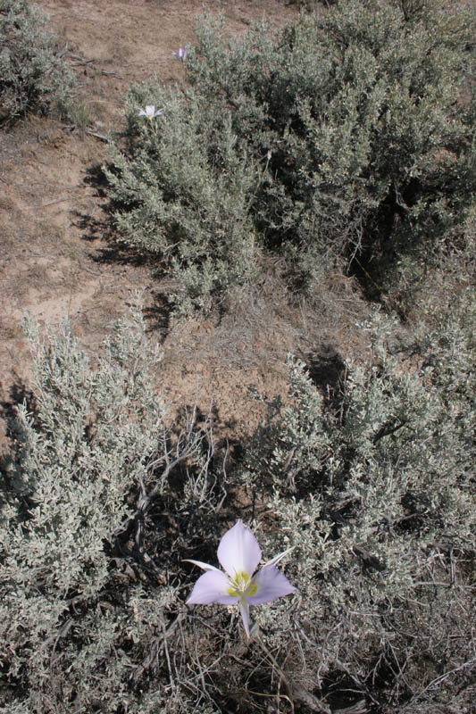 0906ABH_060V