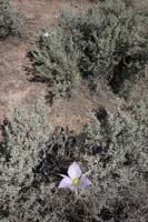 0906ABH_060V