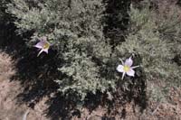 0906ABH_060X