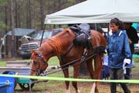 IMG_8087