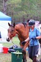 IMG_8123