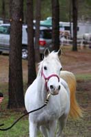 IMG_8219