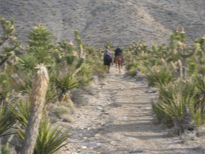 EasternMojave_EMS_154