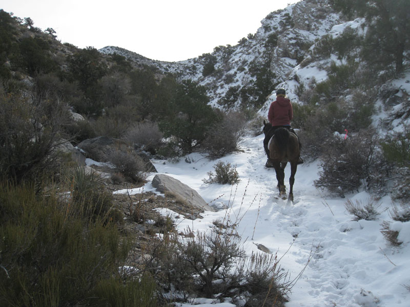 EasternMojave_EMS_187