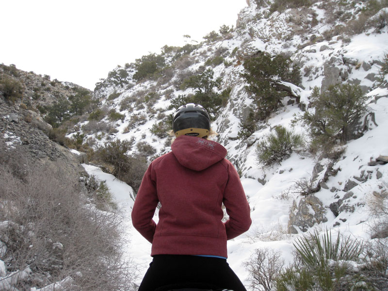 EasternMojave_EMS_188