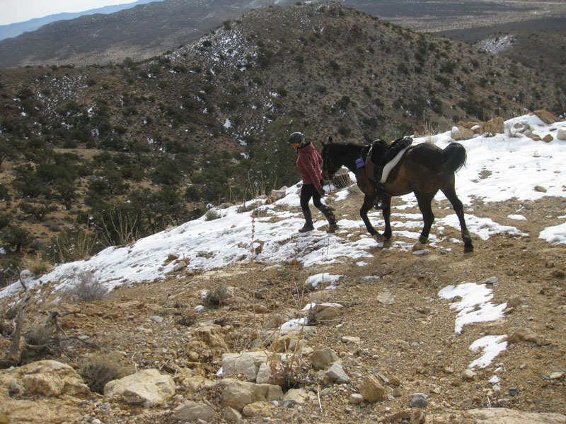 EasternMojave_EMS_206