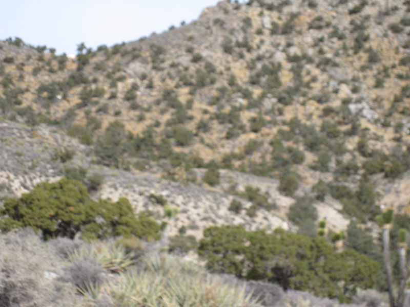 EasternMojave_EMS_210