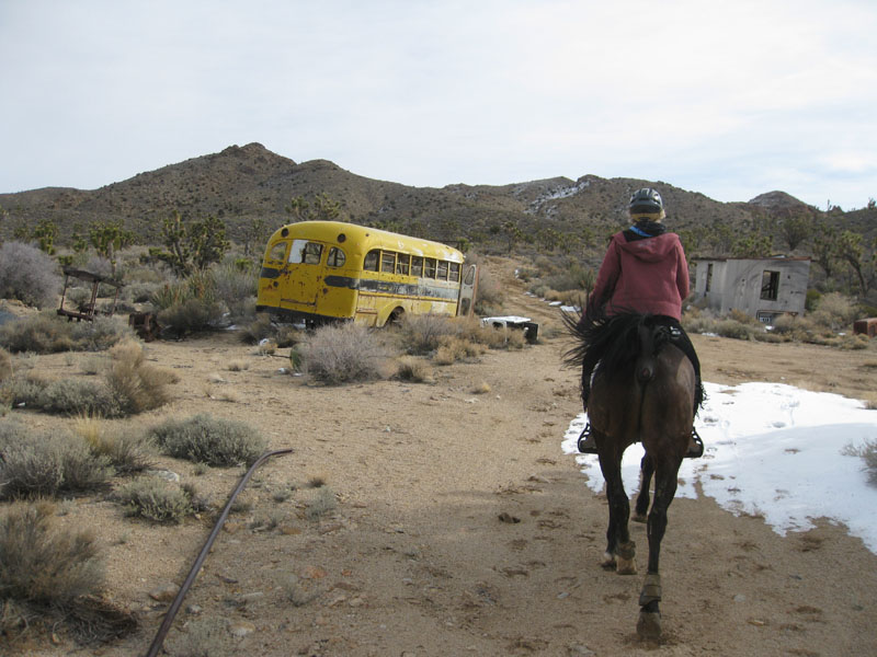 EasternMojave_EMS_214
