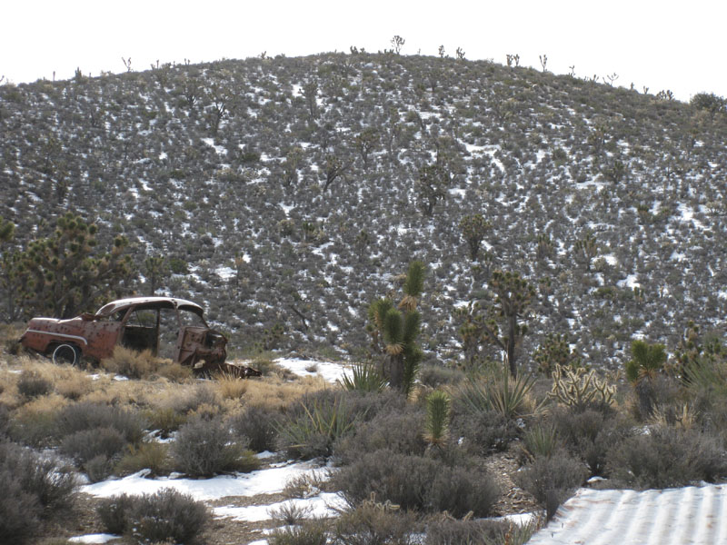 EasternMojave_EMS_217