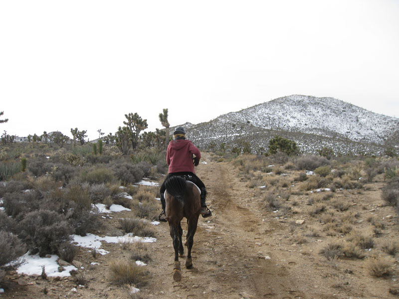 EasternMojave_EMS_218