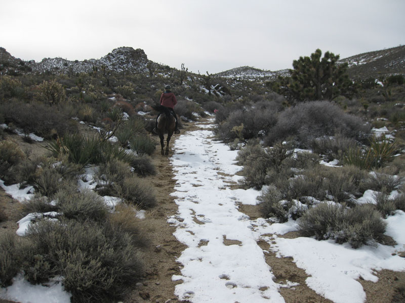 EasternMojave_EMS_219