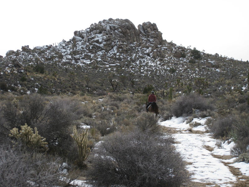 EasternMojave_EMS_220