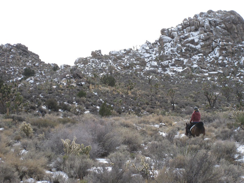 EasternMojave_EMS_221