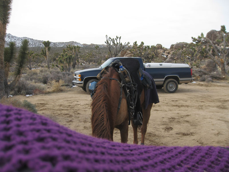 EasternMojave_EMS_222