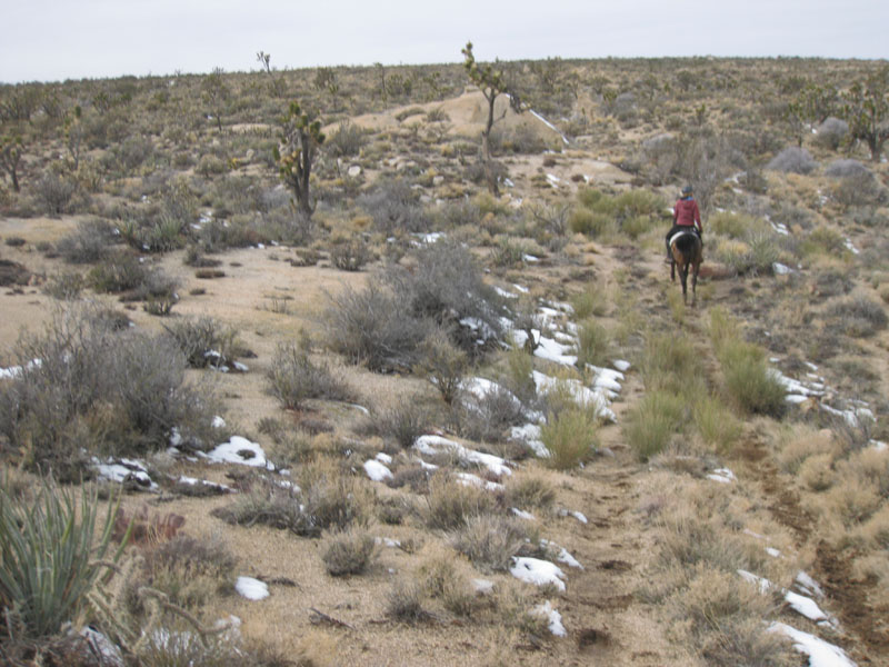 EasternMojave_EMS_225