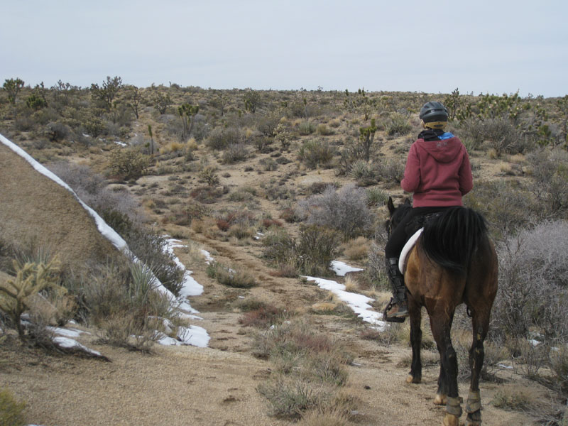 EasternMojave_EMS_227