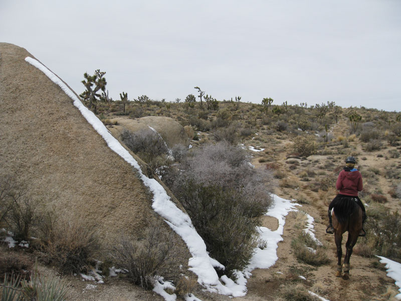 EasternMojave_EMS_228