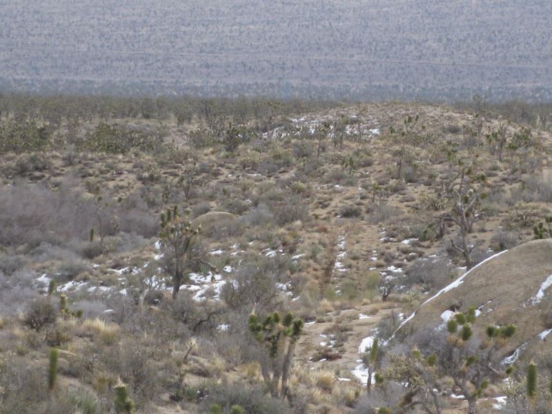 EasternMojave_EMS_230