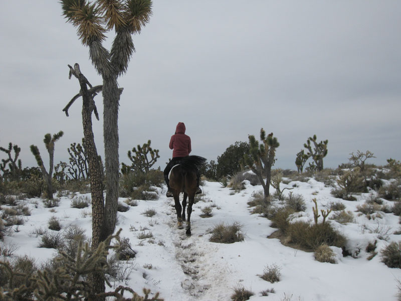 EasternMojave_EMS_234