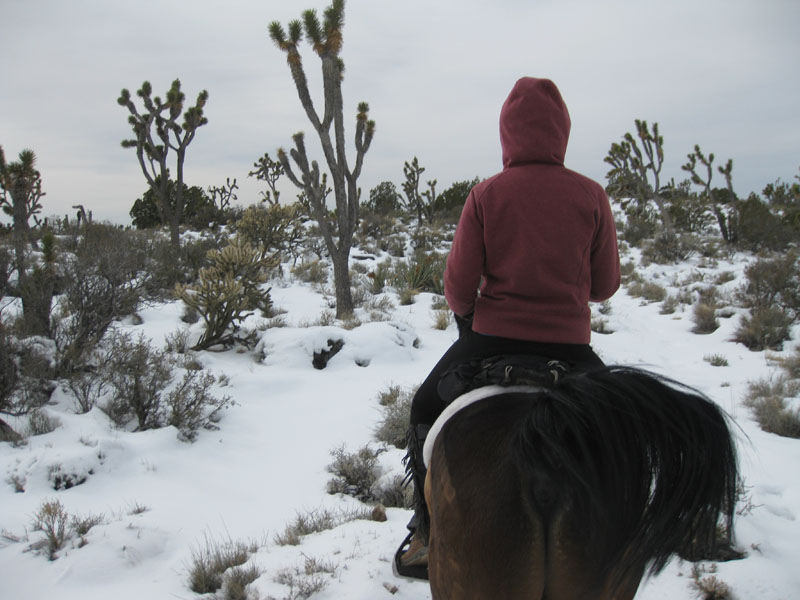 EasternMojave_EMS_235