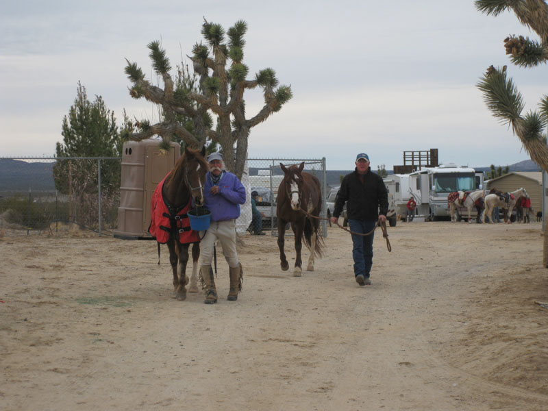 EasternMojave_EMS_244