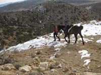 EasternMojave_EMS_206