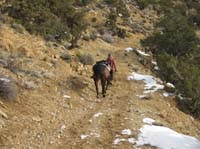 EasternMojave_EMS_207