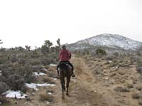 EasternMojave_EMS_218