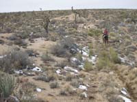 EasternMojave_EMS_225