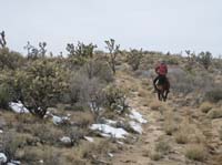 EasternMojave_EMS_229