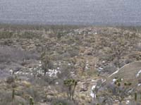 EasternMojave_EMS_230