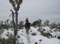 EasternMojave_EMS_234