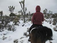 EasternMojave_EMS_235