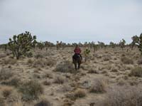 EasternMojave_EMS_240
