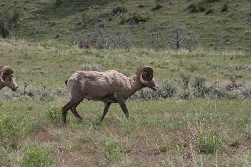 0906WYO_11