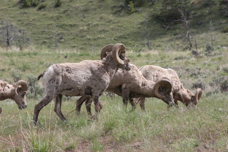 0906WYO_12