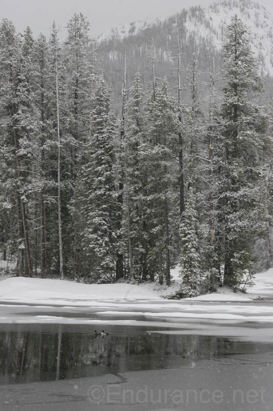 0906YNP_080