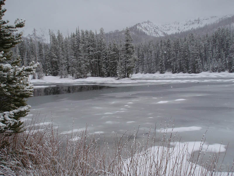 0906YNP_084.