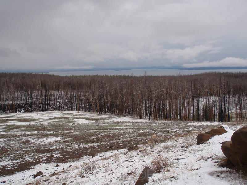 0906YNP_087