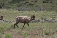 0906WYO_11