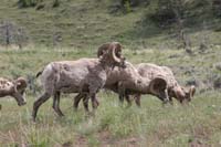 0906WYO_12