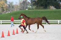 Vetting In