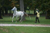 0910KYC_0284