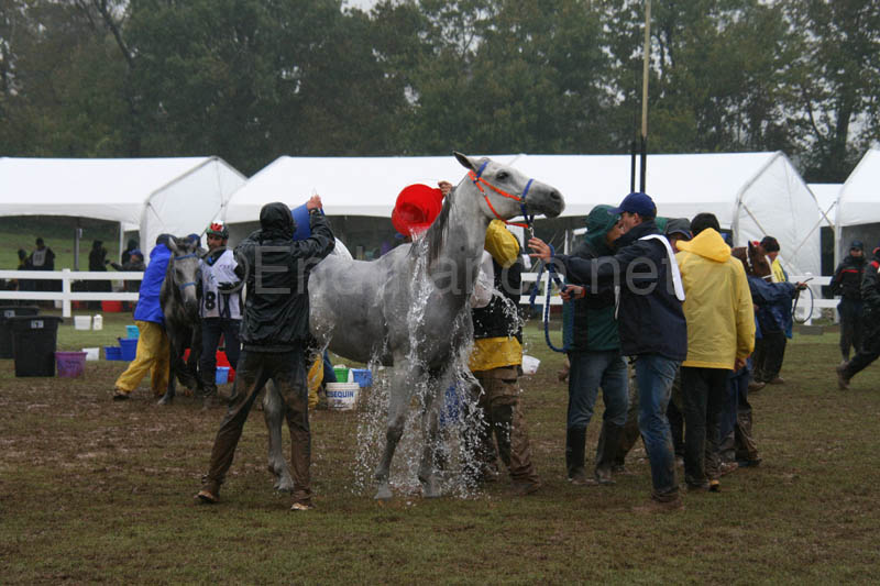 0910KYC_0783